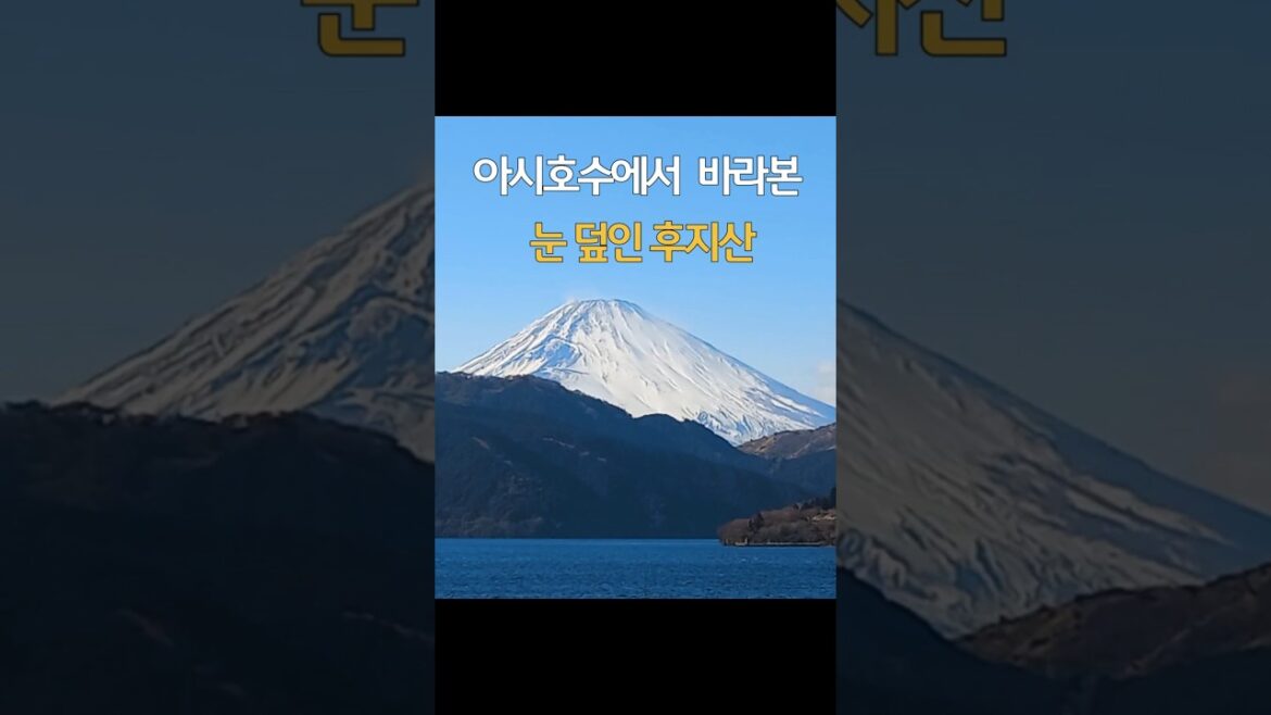 #후지산#landscape #forestvideo #naturedocumentary #아시호수#일본여행 #하네코#가나가와현#하네코신사#emotionalnature#로프웨이 #후지산#landscape #forestvideo #naturedocumentary #아시호수#일본여행 #하네코#가나가와현#하네코신사#emotionalnature#로프웨이