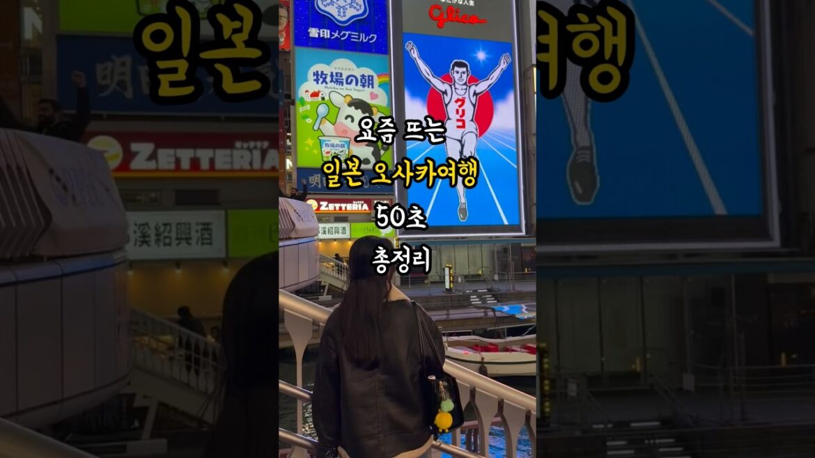 일본 오사카 여행 50초 총정리 맛집 & 꿀팁!(가격정보 포함)#오사카핵심코스, #일본여행필수,#오사카맛집 일본 오사카 여행 50초 총정리 맛집 & 꿀팁!(가격정보 포함)#오사카핵심코스, #일본여행필수,#오사카맛집