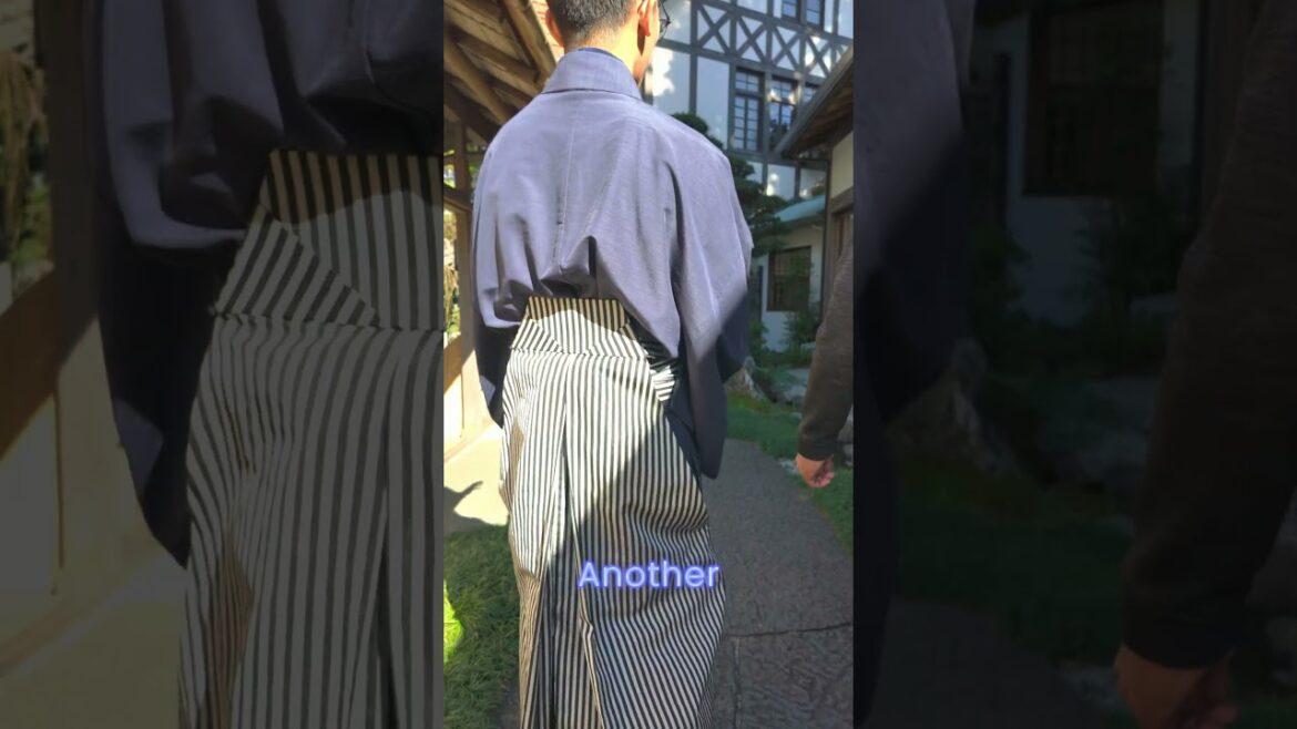 The Best Hotel in Japan feat. Mt Fuji