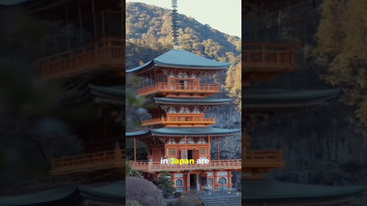 Hidden Gems in Japan: Beppu, Tsubame Onsen & Nachi Falls You Can't Miss! #JapanTravel #HiddenGems