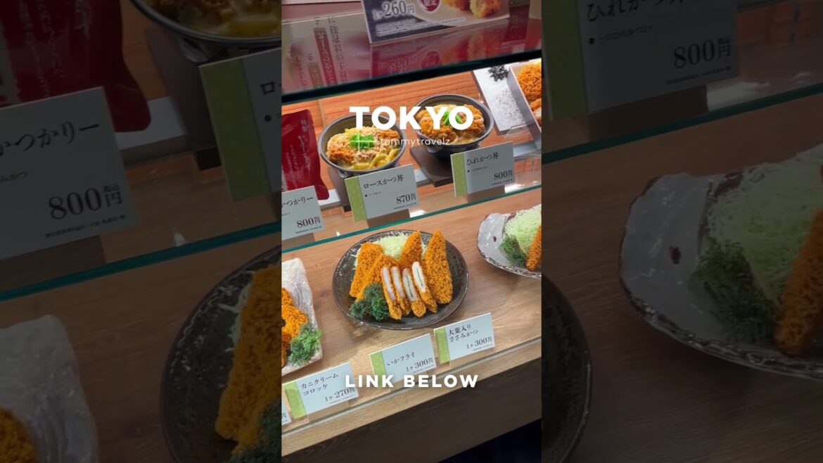 #tokyo #osaka #ohtani #kyoto #shibuya #ginza #onsen #shinjuku #soba #ramen #tokyotravel #japan