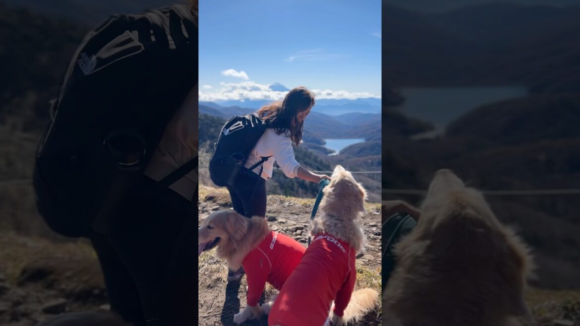 Breathtaking Ridge Hike in Japan | Mt. Daibosatsu, Yamanashi