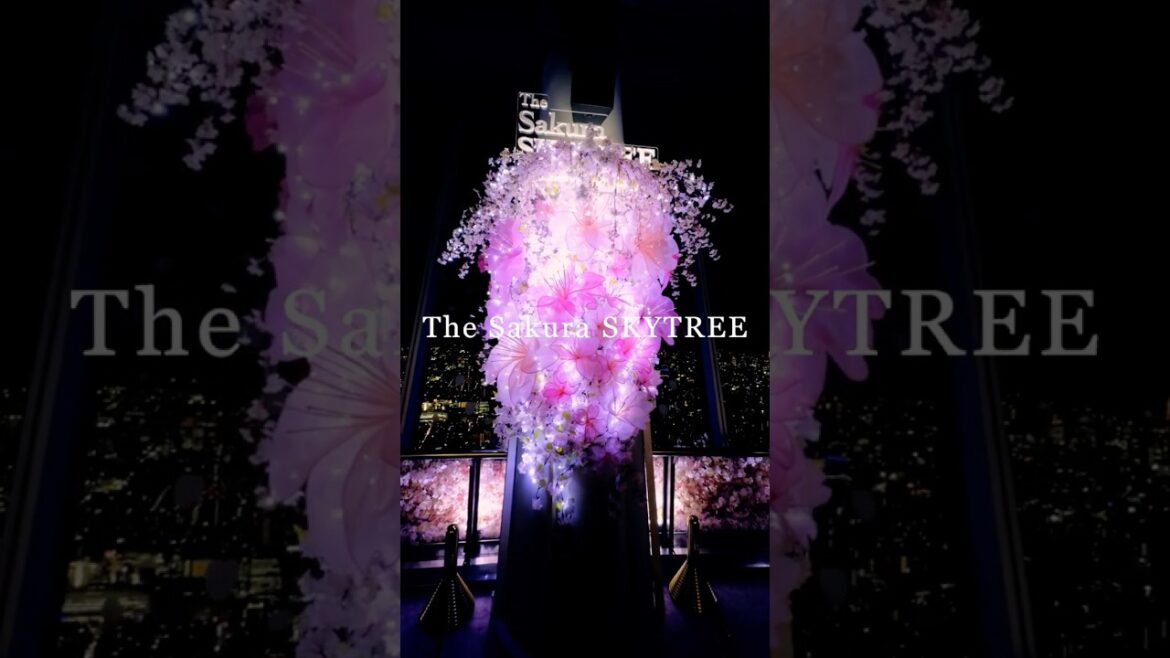 🌸 The Sakura Skytree: An Event to Enjoy the Sky and Cherry Blossoms 🌸