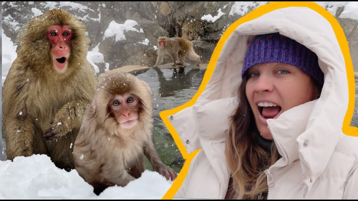 Nagano, Japan | SNOW MONKEYS & Traditional Ryokan Hotel Experience