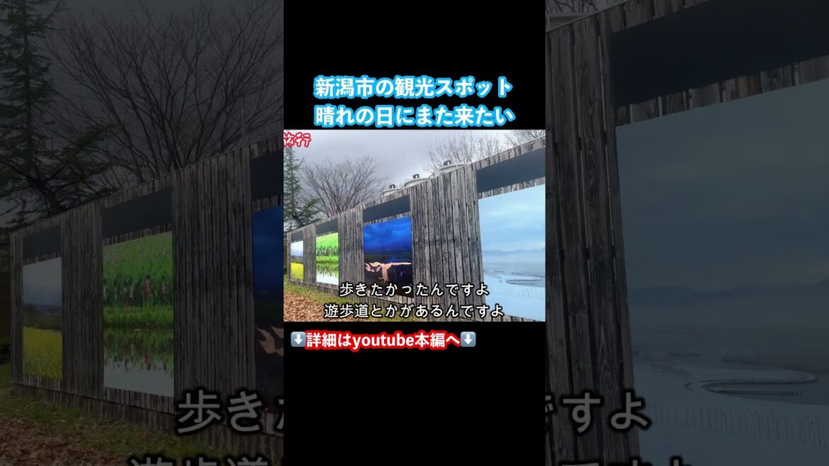 【新潟観光】新潟ドライブ旅サイコー！#新潟観光 #新潟旅行 #新潟市 #ドライブ旅