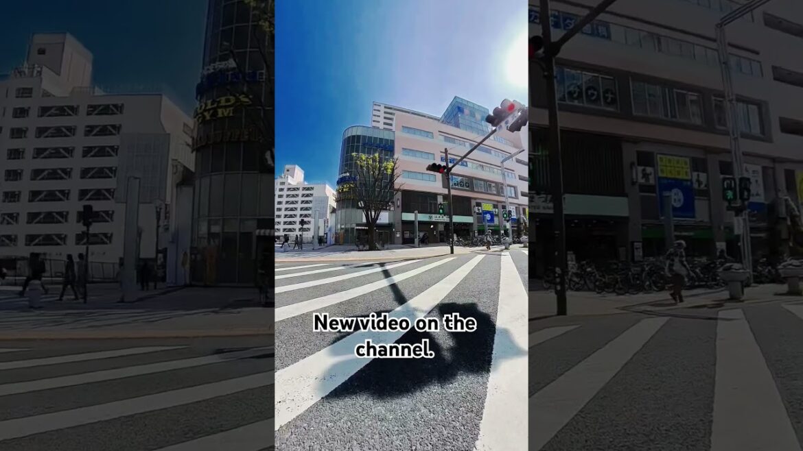 Walking in the city of Hamamatsu #linkinpark #japan #hiking #traveling