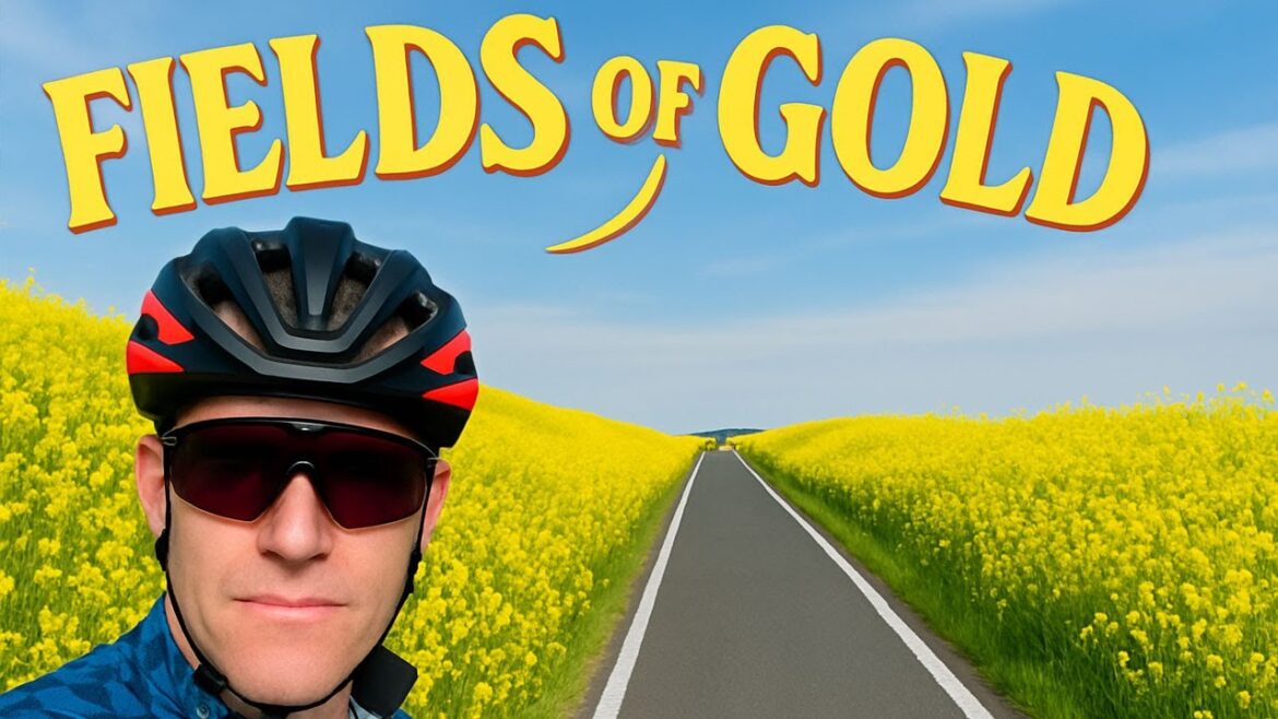 Spring has arrived in Japan