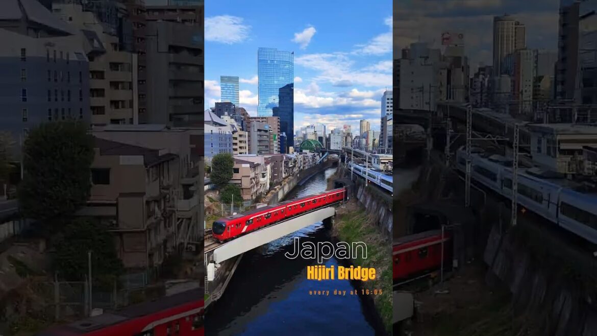 Каждый день в 16:05. Токио, Япония #japan #tokyo #travel  #train #views