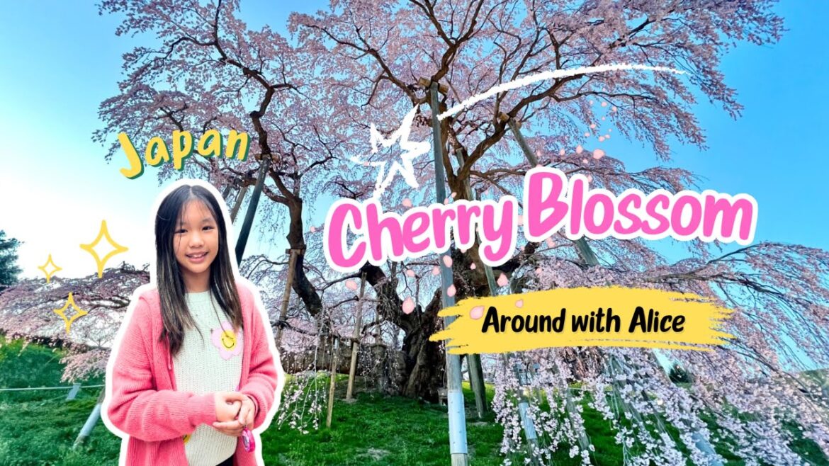 7 Amazing Cherry Blossom Spots in Japan: Full-Bloom Magic with Alice! 7 Amazing Cherry Blossom Spots in Japan: Full-Bloom Magic with Alice!