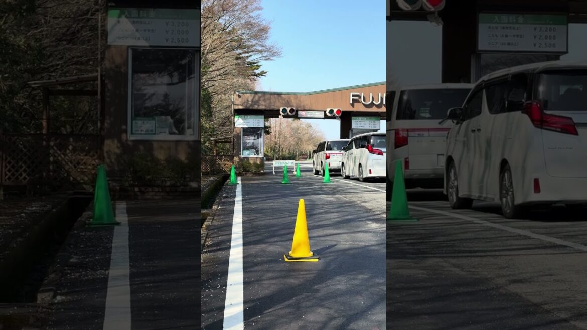 Saturday, April 5, 2025 at 8:22 | Fuji Safari Park, Susono City, Shizuoka Prefecture, Japan #japan