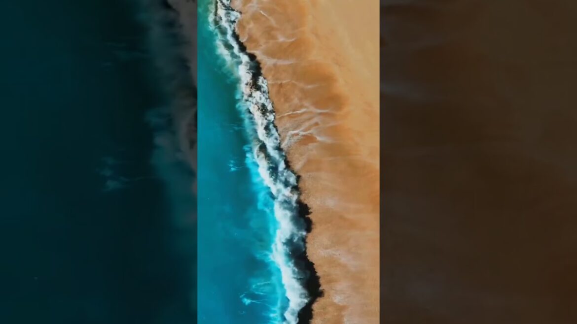 Nature photography and environmental #youtube shorts #trending shorts #travel photography Nature photography and environmental #youtube shorts #trending shorts #travel photography