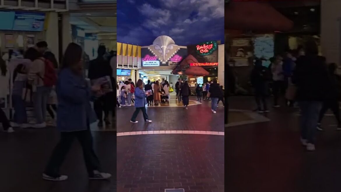 Ikspiari Urayasu Chiba #japantouristguide #tourguiding #japantravelguide#tourguideservice#alttravels