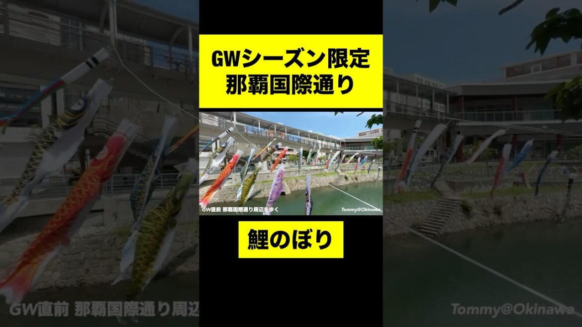 GWシーズン限定！那覇国際通りの鯉のぼり #沖縄旅行 #沖縄観光 #那覇国際通り