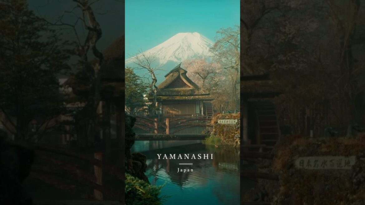 NEXT STOP IS ✈️: Yamanashi 🇯🇵 Japan #travel #asiantravel #japan #japanese #asia #tokyo