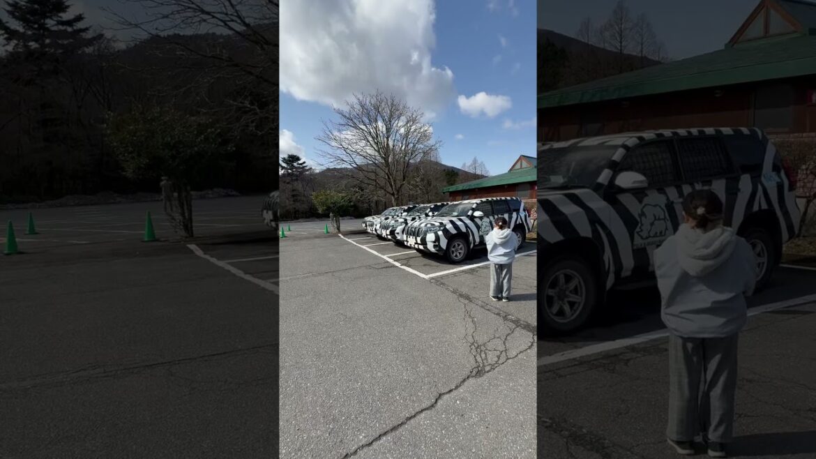 Saturday, April 5, 2025 at 8:40 | Fuji Safari Park, Susono City, Shizuoka Prefecture, Japan #japan