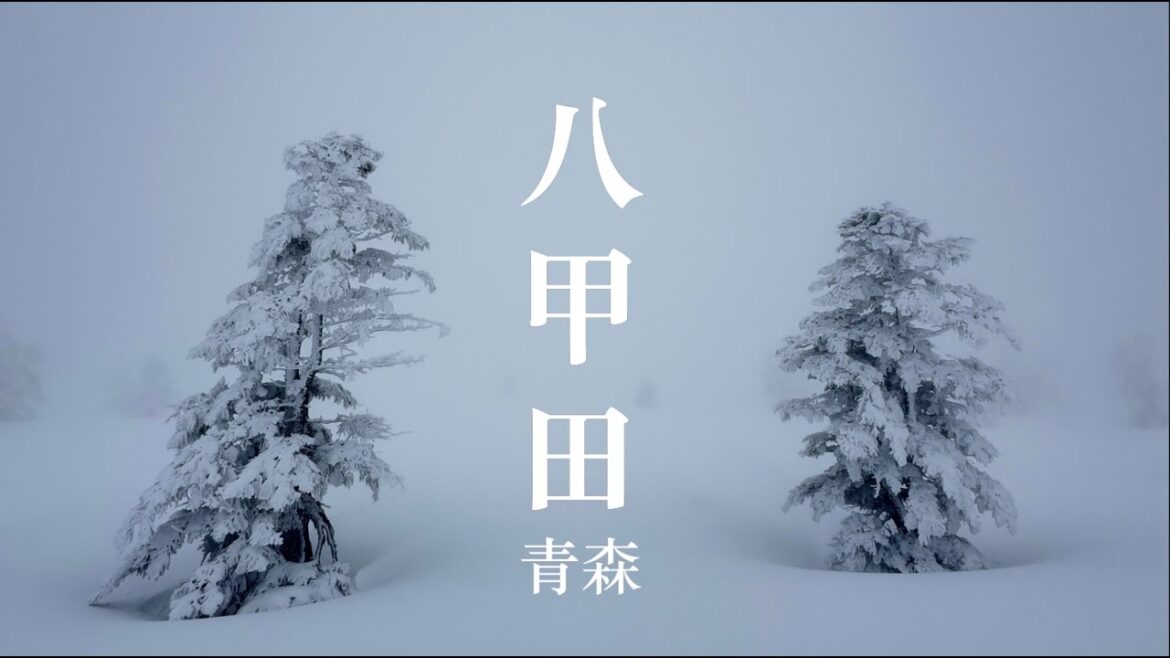 山岳滑雪｜春滑八甲田Vlong#35 / 轉個彎回到雪季
