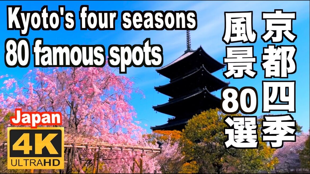 京都の四季 彩り風景80選 Kyoto's four seasons 80 famous spots 京都観光 春 桜 新緑 梅雨 新緑 夏 秋 紅葉 冬 雪景色 早春 京都観光 名所 季節の風景