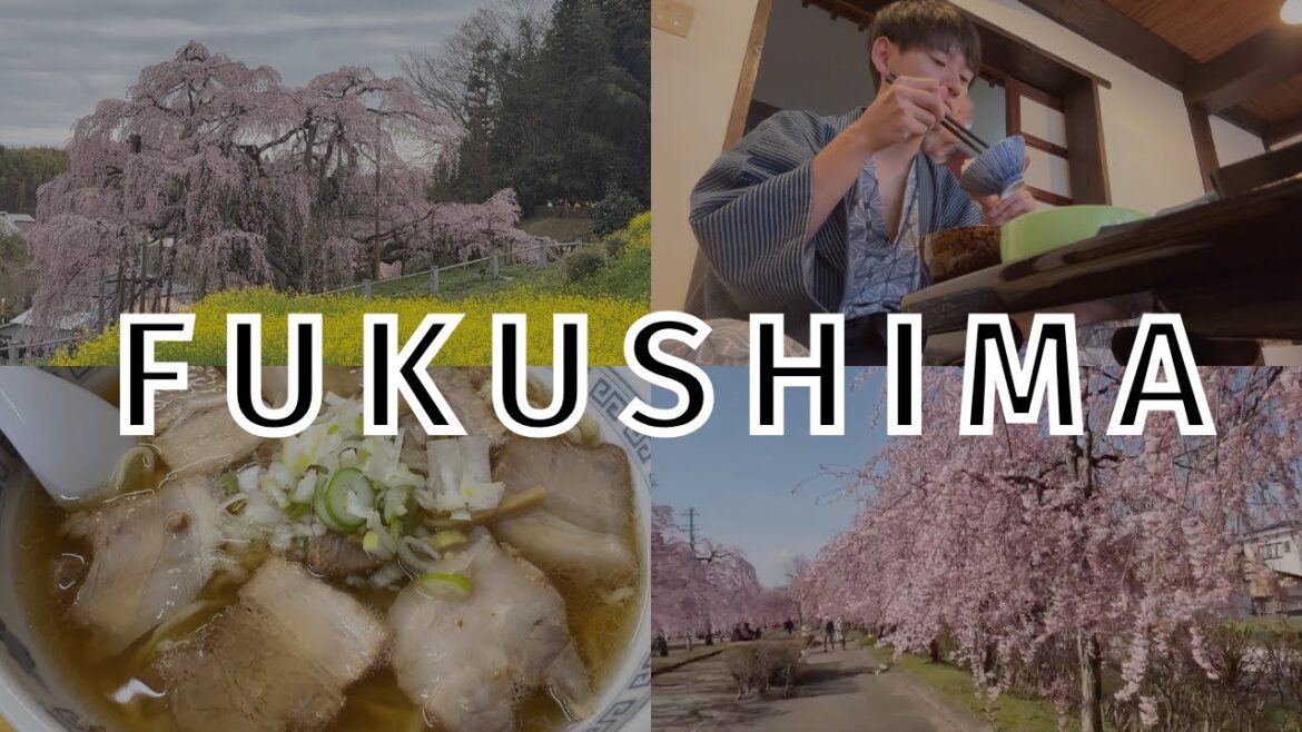 【Jap&Eng Subtitles】The charm of Fukushima that isn’t well known.Seeing one of Japan’s 3great sakura. 【Jap&Eng Subtitles】The charm of Fukushima that isn’t well known.Seeing one of Japan’s 3great sakura.