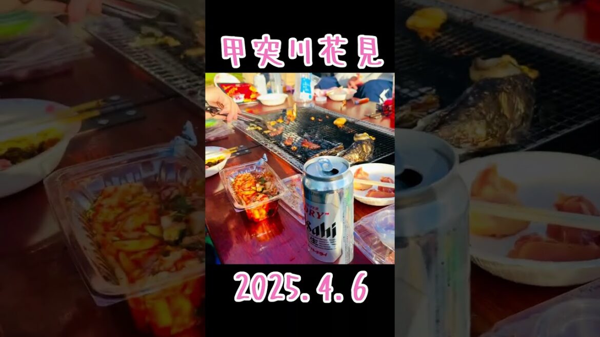 #Shorts 甲突川花見2025 (鹿児島市) (やす旅Short Vlog 95) #travel (2025.4.19公開)