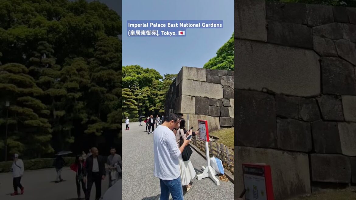 Shorts: Imperial Gardens