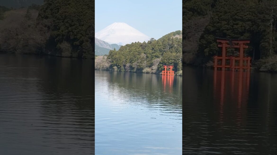 Mount Fuji View at Sunrise from Hakone Lake Ashi. #mtfuji