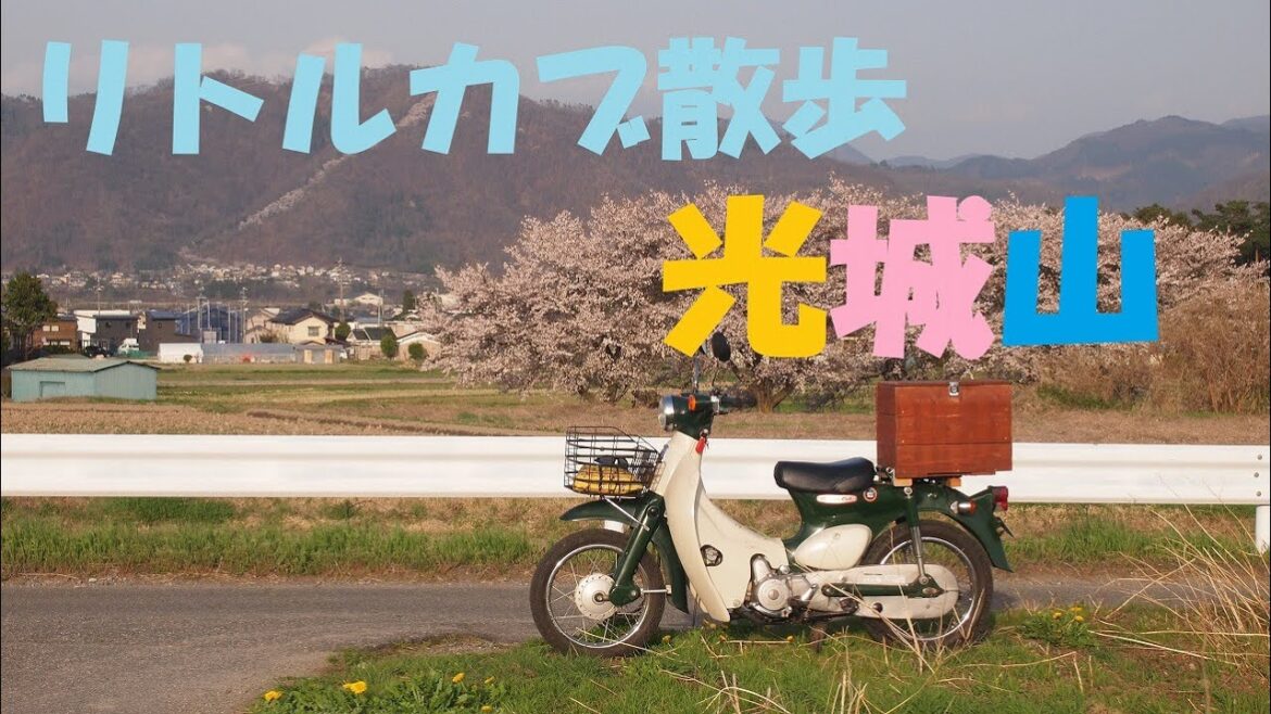 リトルカブ散歩　光城山