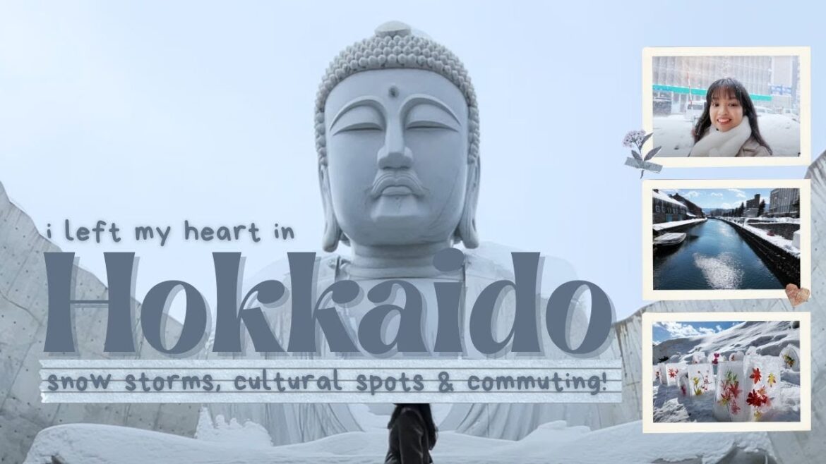 Hokkaido, where it snowed every day 🤍☃️🇯🇵 | Highlights of my February Winter Trip [Travel Vlog]
