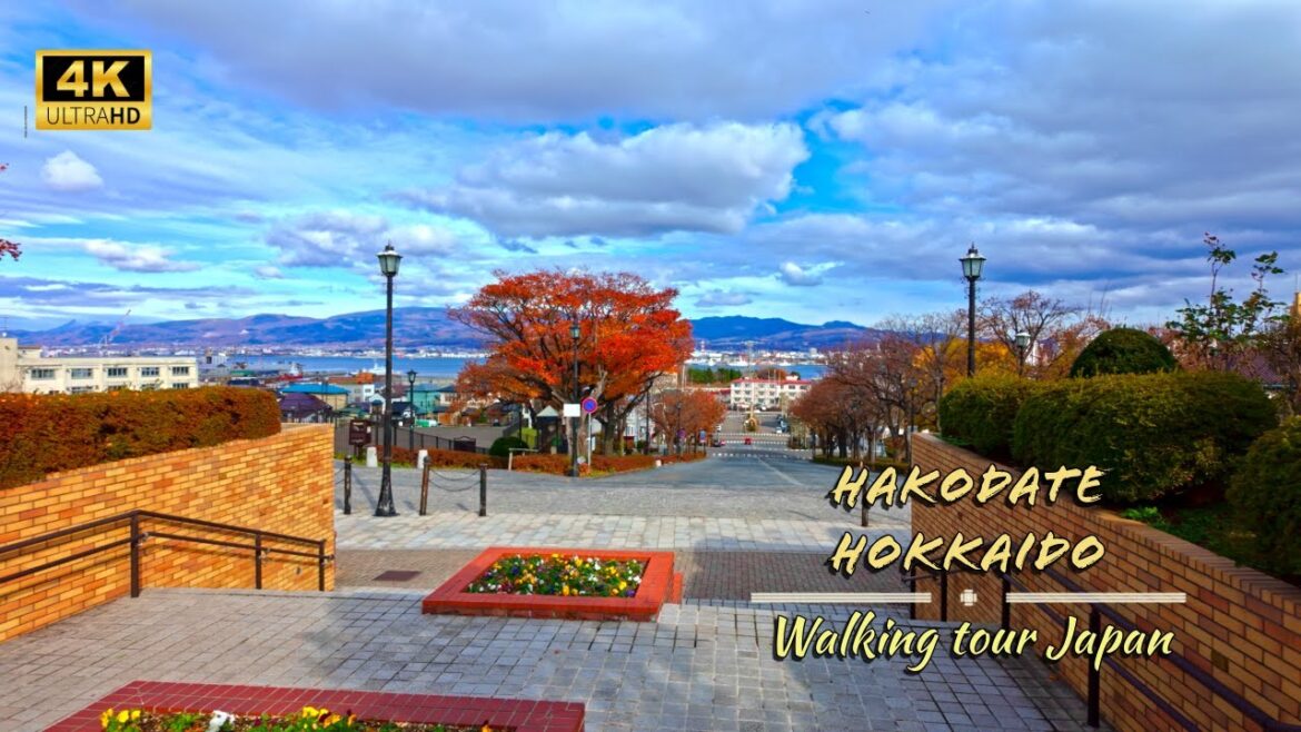 Whispers of the North: Hakodate’s Hidden Corners by the Sea Whispers of the North: Hakodate’s Hidden Corners by the Sea