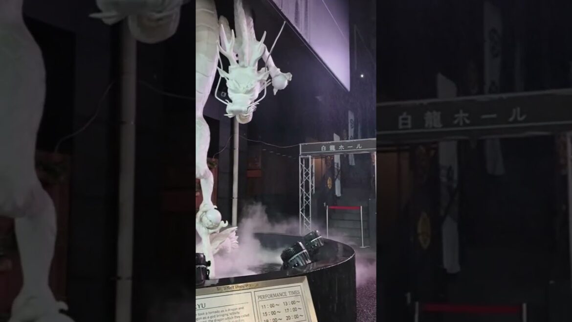 #osu #nagoya #travel #商店街 #大须 #ilovejapan #walktuber