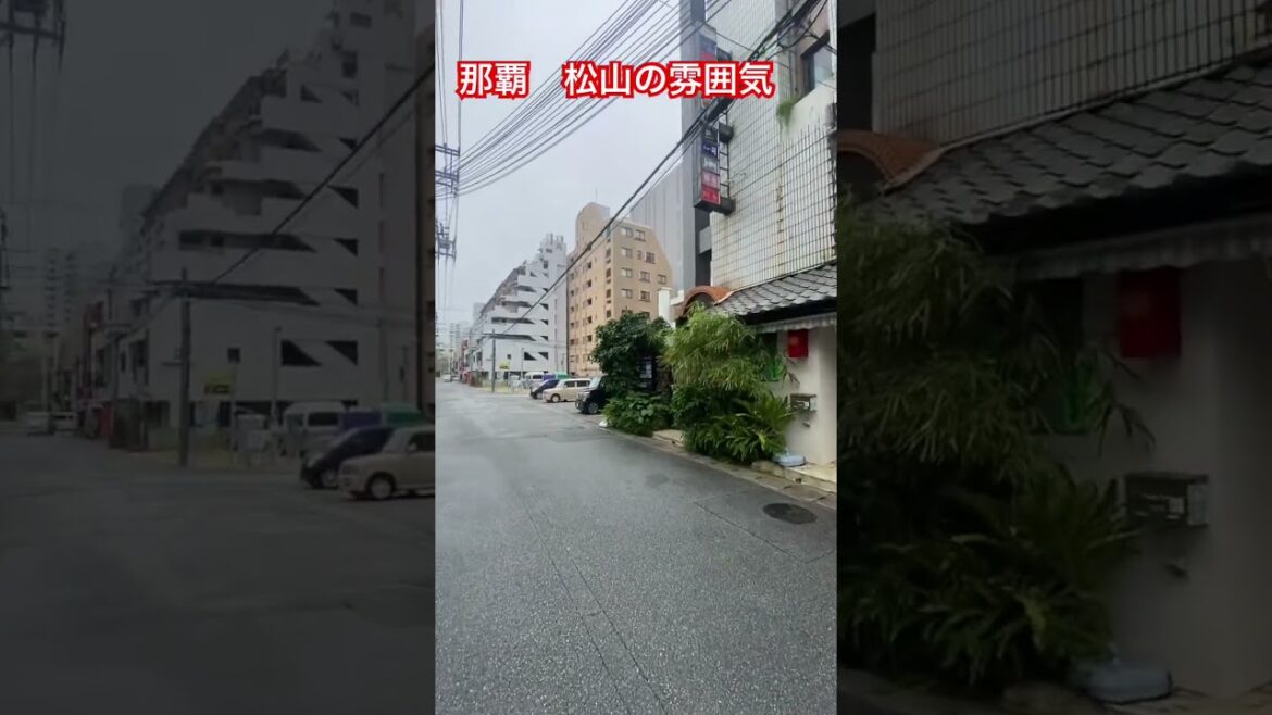 #那覇 #travel #okinawalongevity #沖縄市#豊見城市 #沖縄旅行 #名護市