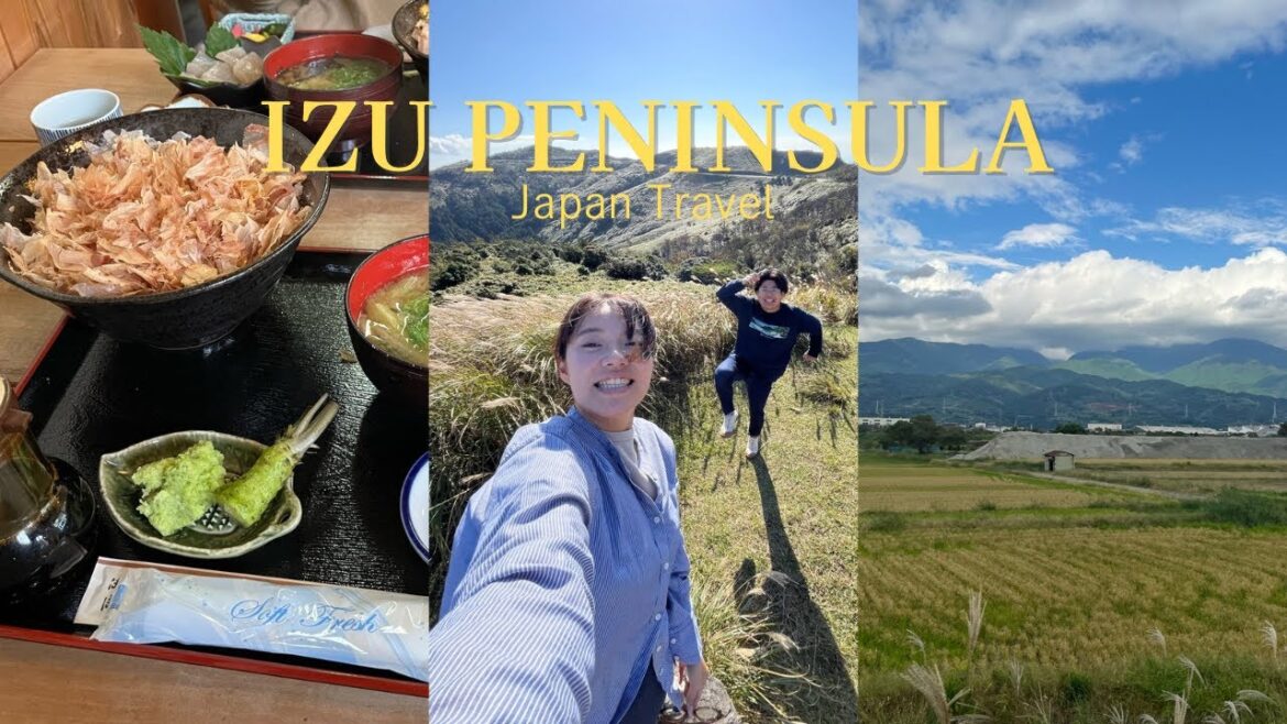 Tour the Izu Peninsula, Japan's largest producer of WASABI.