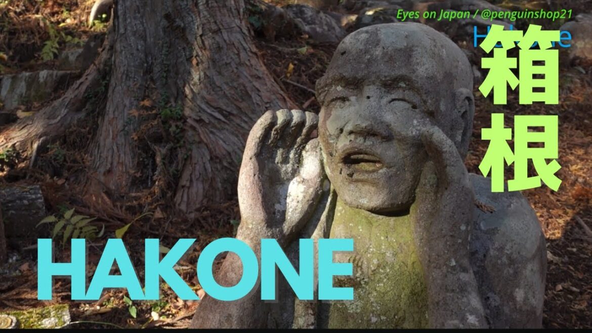 Beautiful Hakone, walking in the forest and Mt.Fuji views, access easily by Romancecar from Shinjuku