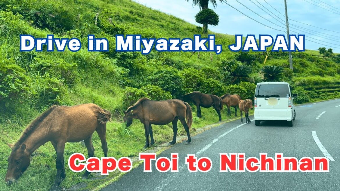 [JAPAN KYUSHU] MIYAZAKI | CAPE TOII | NICHINAN | HYUGA-NADA SEA COAST