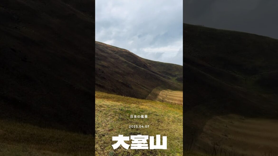 搭纜車上火山！大室山360度環景太震撼