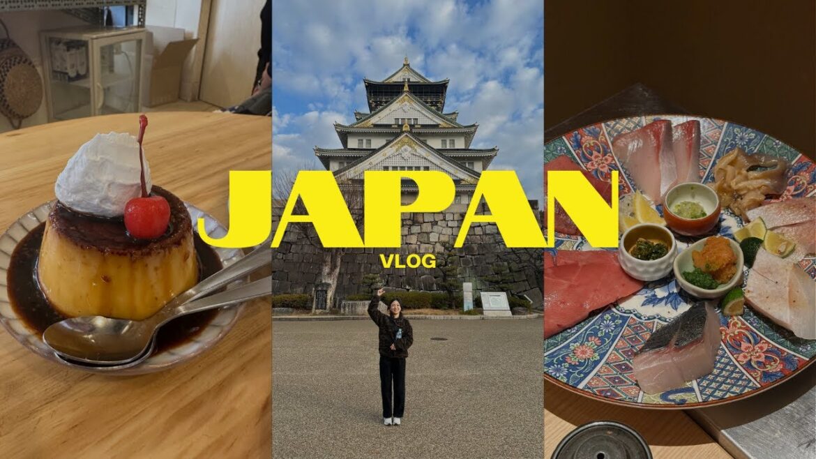 7 Days in Japan 2025 | Travel Vlog & Food Guide Osaka & Tokyo 7 Days in Japan 2025 | Travel Vlog & Food Guide Osaka & Tokyo