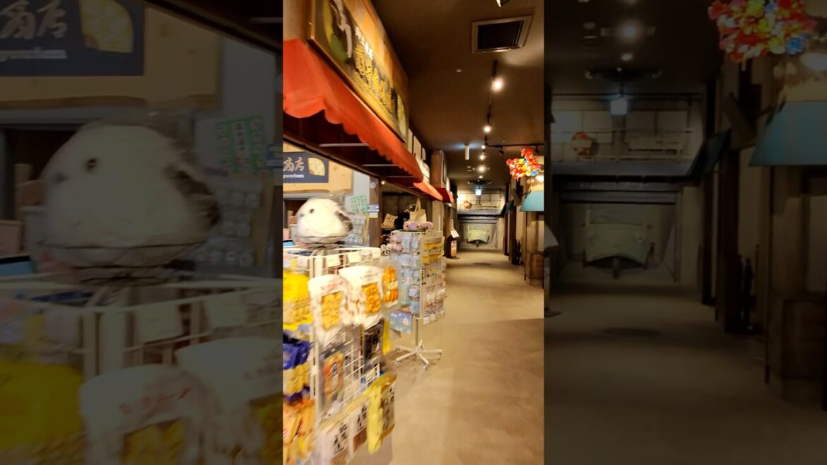 函館駅前のお土産と飲食店の商業施設を練り歩く #函館 #raybanmeta