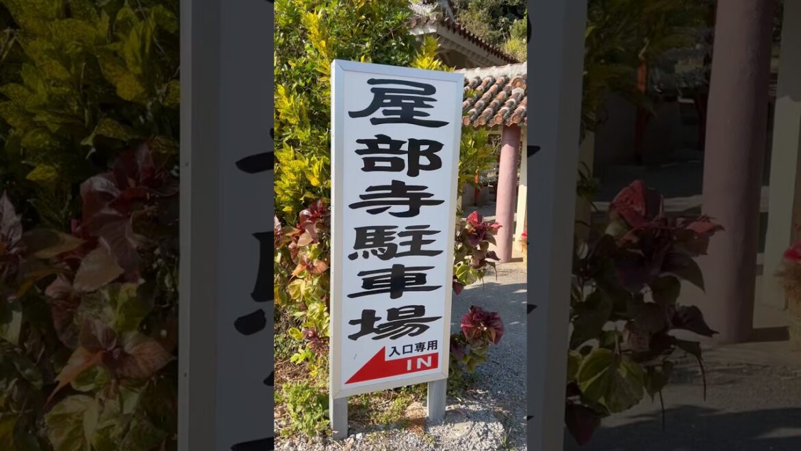 【沖縄・名護市】病を治す！超強力パワースポット『屋部寺』 #屋部寺 #名護市パワースポット #沖縄パワースポット