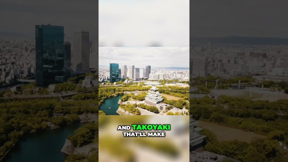 Osaka Food Tour Neon Lights & Takoyaki Bliss!  #travel  #facts #japan