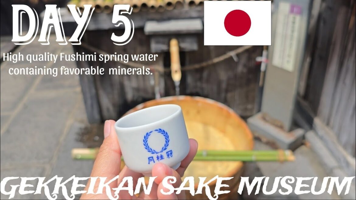 GEKKEIKAN OKURA SAKE MUSEUM | ONE OF THE BEST SAKE BREWERIES TASTING TOUR IN FUSHIMI KYOTO JAPAN 🇯🇵🍶