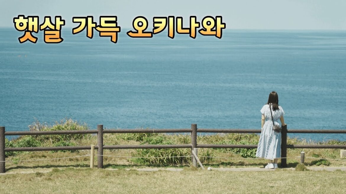 오키나와 가족여행 브이로그 (가볼만한 곳 + 맛집) 오키나와 가족여행 브이로그 (가볼만한 곳 + 맛집)