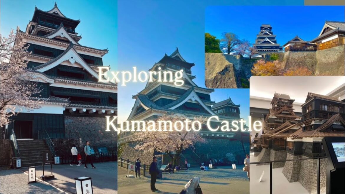 Exploring Kumamoto Castle | A Must-Visit Spot in Japan 🇯🇵 #japantravel #japan #travelvlog