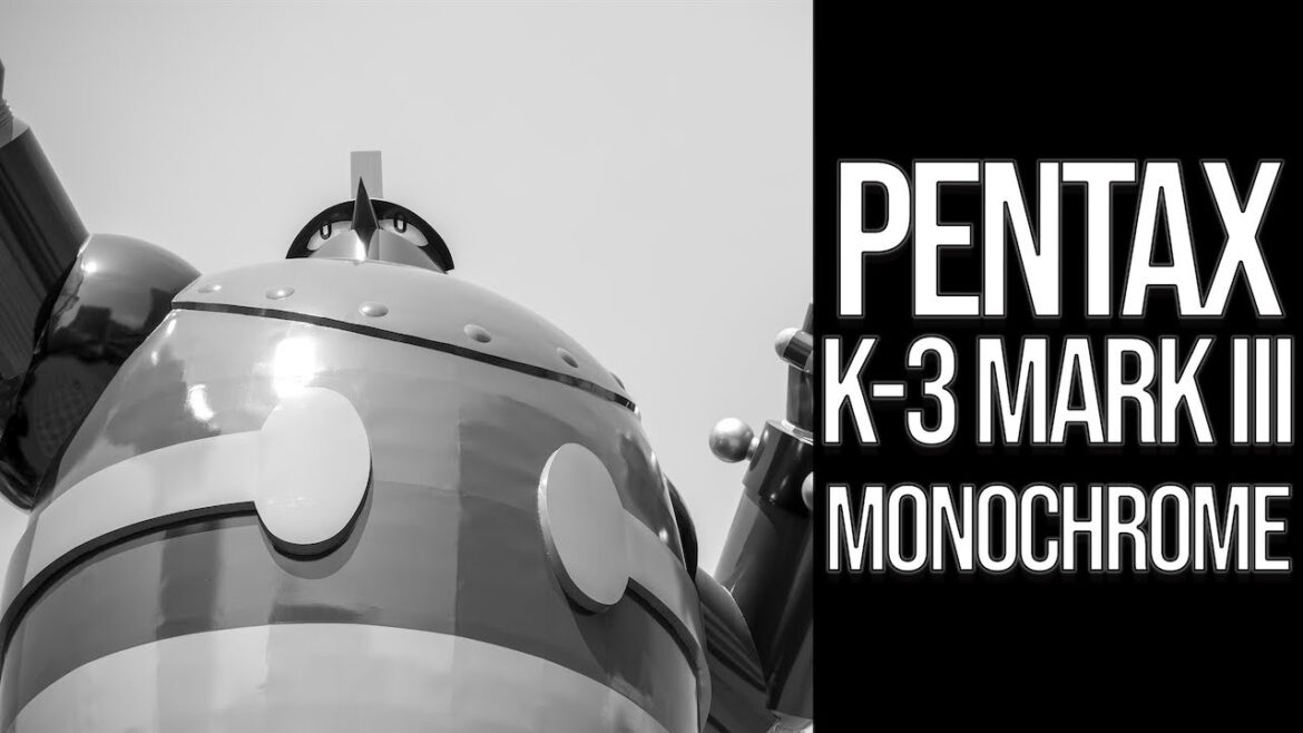 PENTAX K-3 Mark III Monochrome - GIGANTOR MONUMENT [鉄人28号モニュメント] in SHINNAGATA [新長田]・JAPAN