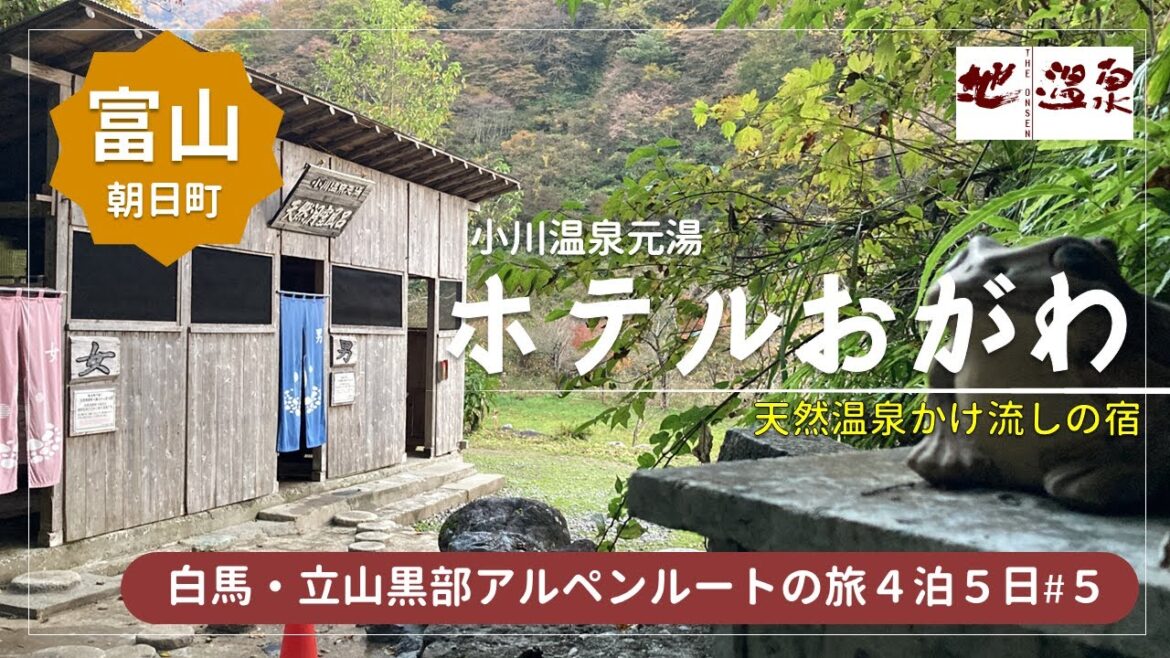 【白馬・立山黒部アルペンルートの旅#5】富山の秘湯!源泉かけ流しの宿「ホテルおがわ」で一泊!食事もお風呂も素晴らしい★富山を大満喫 【白馬・立山黒部アルペンルートの旅#5】富山の秘湯!源泉かけ流しの宿「ホテルおがわ」で一泊!食事もお風呂も素晴らしい★富山を大満喫