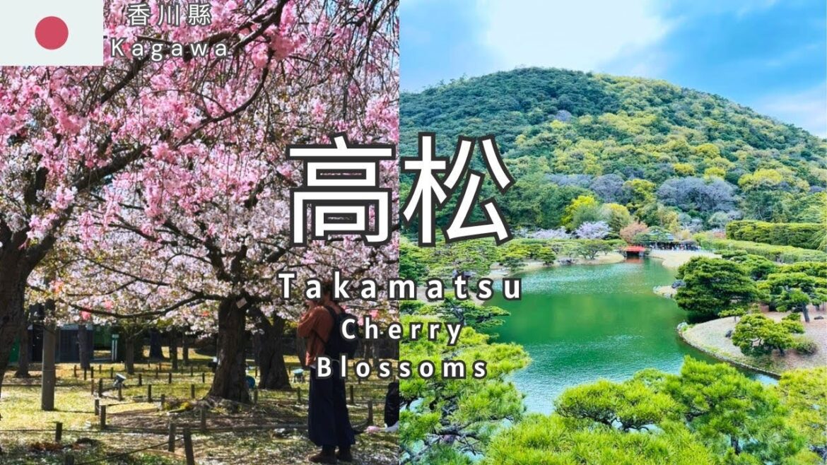 【高松🇯🇵EP2】 賞櫻唔再人逼人🌸超推玉藻公園🏯米其林三星栗林公園背靠紫雲出山賞過千棵松樹😋LOCAL食堂望住個海食汁煮鯛魚🥩香川名物橄欖牛一試難忘🏨實測高松市商務溫泉酒店