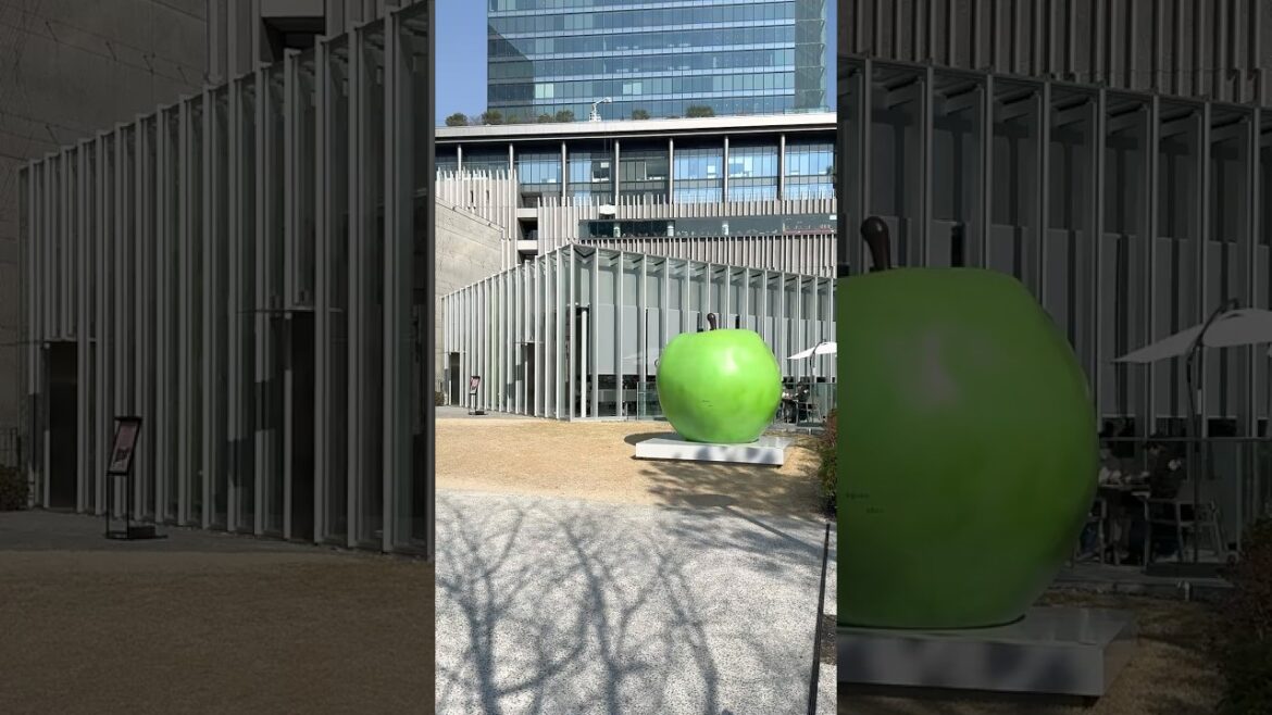 Tadao ANDO : Youth [ Japanese Exhibition Tour Short Vlog ] 安藤忠雄展 青春