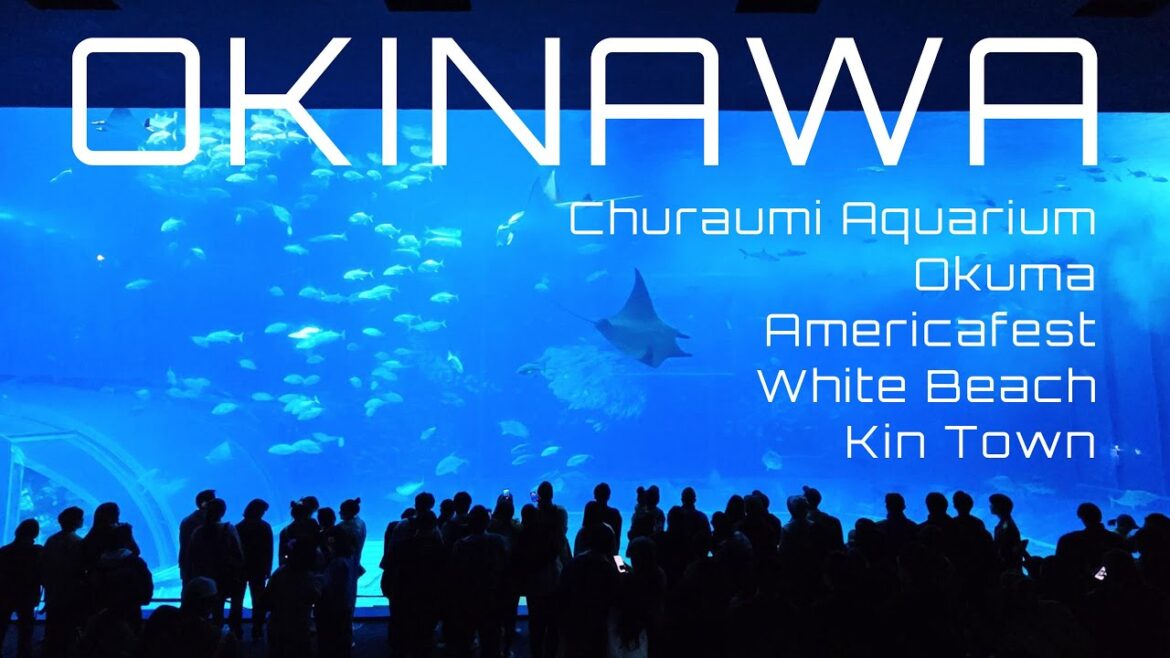 Okinawa:  Visiting some of our favorite places 4K