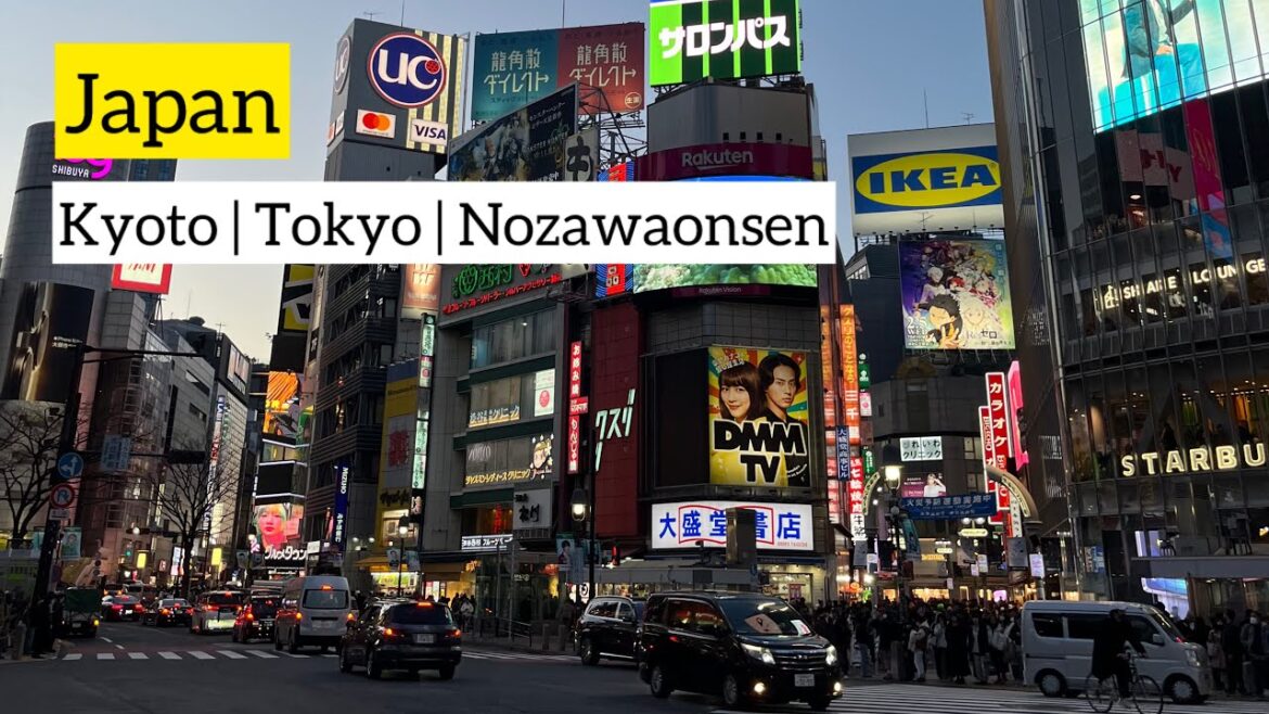 Japan Raw Footage - Kyoto | Tokyo | Nozawaonsen