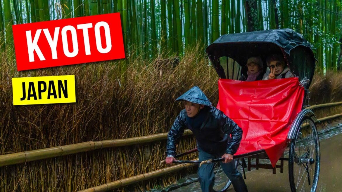 Wandering Kyoto: Where Tradition Meets Tranquility Wandering Kyoto: Where Tradition Meets Tranquility