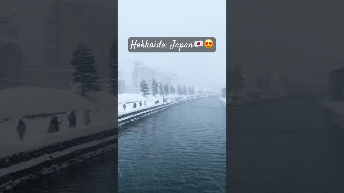 Hokkaido japan Tarviale #travel #travelguide #wanderlust #travelvlog #bucketlist#nature #travelgoals