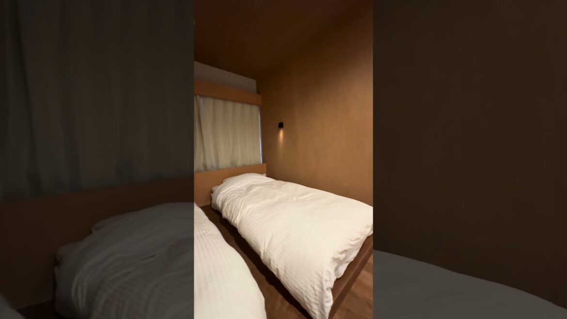 "Cozy Lakefront Stay in Hakone 🇯🇵🌊 #JapanTravel"